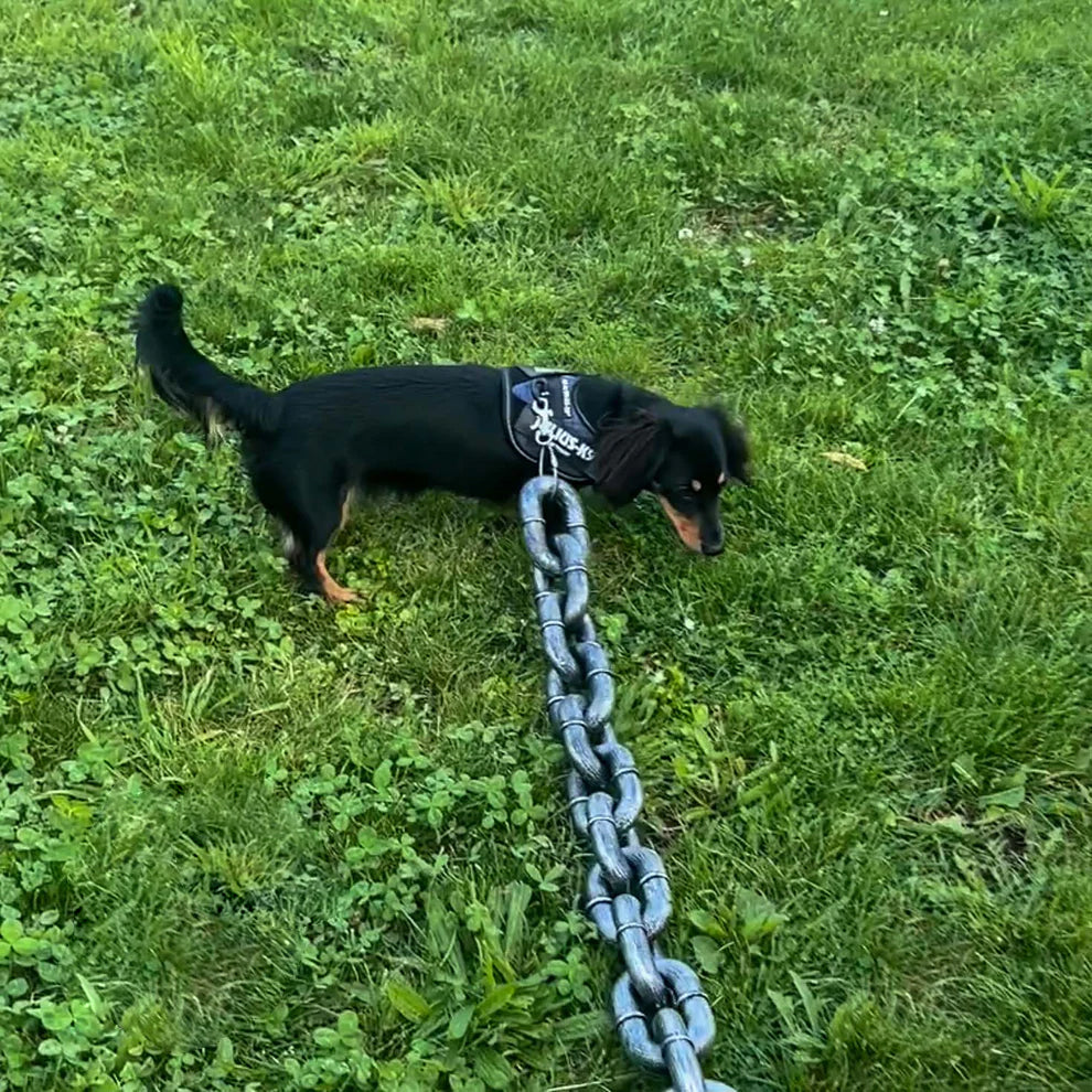 Chain Paw