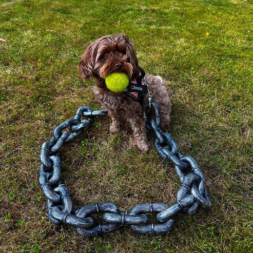 Chain Paw