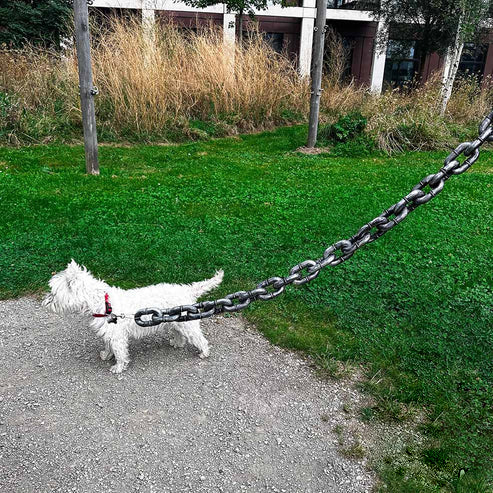 Chain Paw
